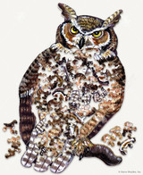 What a Hoot! 1