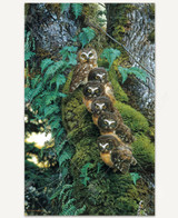 The Branchy Bunch 1