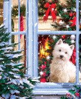 Welcoming Christmas 0