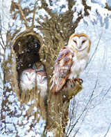 Snowy Day 0