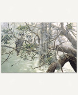  Spanish Mist wooden jigsaw puzzle reveals two owls staring straight at the viewer as they sit together on a tree branch that stretches over swamp water. Dried up vines hang down over the branches. 