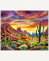 Sonoran Desert Glow 1