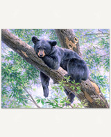  Thinking Spot puzzle displays a black bear cub lounging up in a tree. 