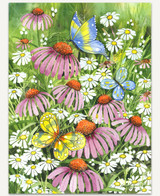 Coneflower Dance 1