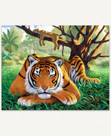 Big Cats Resting 1