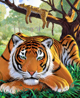 Big Cats Resting 0