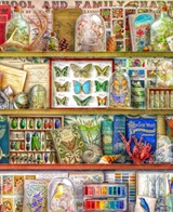  Close up of a detailed collector’s shelf filled with nature-themed items, including weathered books, sparkling gemstones, preserved butterflies and insects, and an assortment of shells and coral. 