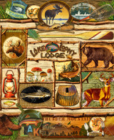  Close up of an outdoor-themed collage featuring a central branch-framed sign reading “Lake Loony Lodge,” surrounded by wildlife, exploration items, fishing signs, and nature motifs. 
