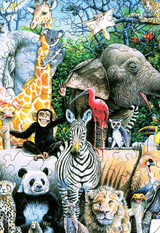  Animals 