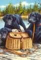 Jim Killen | Banner Top As Description