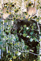Jeff Tift | Banner Top As Description