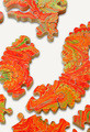 Steve Richardson | Banner Top As Description