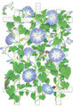 Jo Levasseur | Banner Top As Description