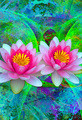 Ata Alishahi | Banner Top As Description