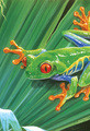 Jan Martin McGuire | Banner Top As Description