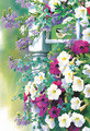 Susan Bourdet | Banner Top As Description