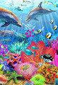 Adrian Chesterman | Banner Top As Description