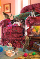 Steve Read | Banner Top As Description