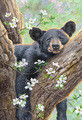 Abraham Hunter | Banner Top As Description