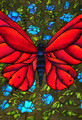 Holly Carr | Banner Top As Description