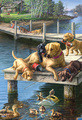 James Meger | Banner Top As Description