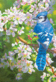 Beth Hoselton | Banner Top As Description