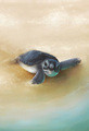 Susan McKivergan | Banner Top As Description