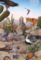 Tim Knepp | Banner Top As Description