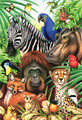 Howard Robinson | Banner Top As Description
