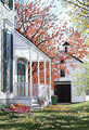 Carol Collette | Banner Top As Description