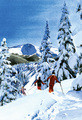 Linda Roberts | Banner Top As Description