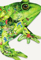 Janet Skiles | Banner Top As Description