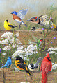 James Hautman | Banner Top As Description