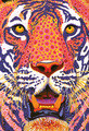 Tina Close | Banner Top As Description