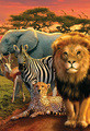 Andrew Farley | Banner Top As Description