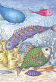 John O'Brien | Banner Top As Description