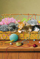 Braldt Bralds | Banner Top As Description