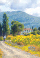 June Carey | Banner Top As Description