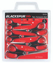 Stainless Steel Scissors Set (5pc)