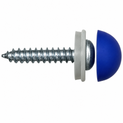 Domed Number Plate Screws (Pack of 100 pcs)