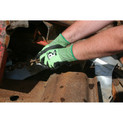 Cut-Resistant Safety Gloves (Level D)