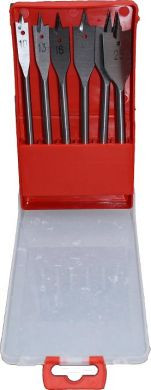 6pc SDS+ Masonry Drill Set