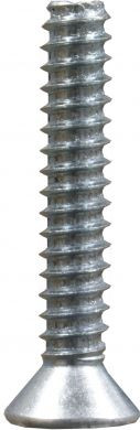 Flat Tapping Decking Screws (Pack of 100) (Type B Point)