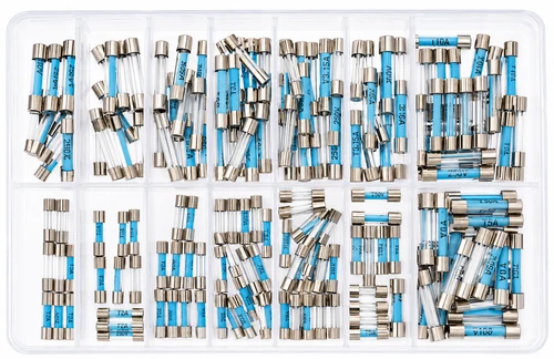 Assorted Glass Fuses (20mm/30mm) (Pack of 200)