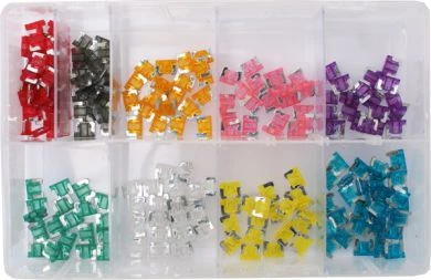 Assorted Micro Fuses (200 Pieces)