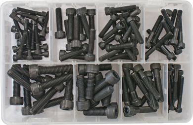 Assorted Socket Screws (cap screws), Black Metric (100 Pieces)