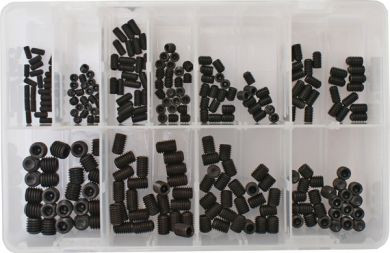 Assorted Box of Grub Screws (250 Pieces)