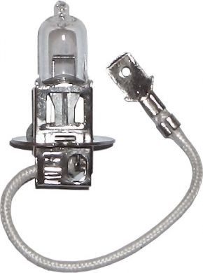 EB460 Bulbs Halogen 24v-70w PK22S H3 CAP (Pack of 1)