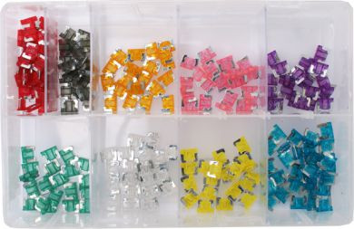 Assorted Micro Fuses (200 Pieces)