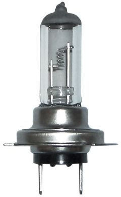 EB499 Bulbs Halogen 12v-55w H7 CAP ( Pack of 1 )